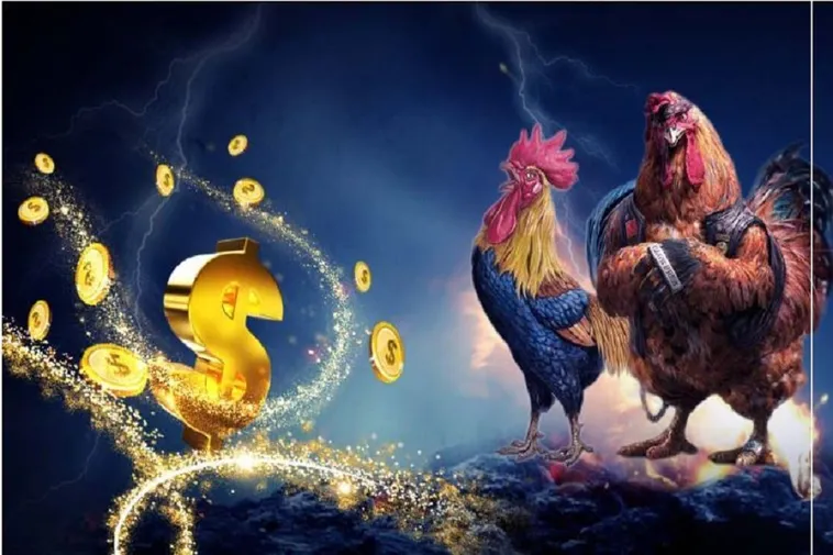 Hướng Dẫn Cách Chơi Đá Gà WS168 Tại 69VN Hấp Dẫn Nhất 2 Hướng Dẫn Cách Chơi Đá Gà WS168 Tại 69VN Hấp Dẫn Nhất